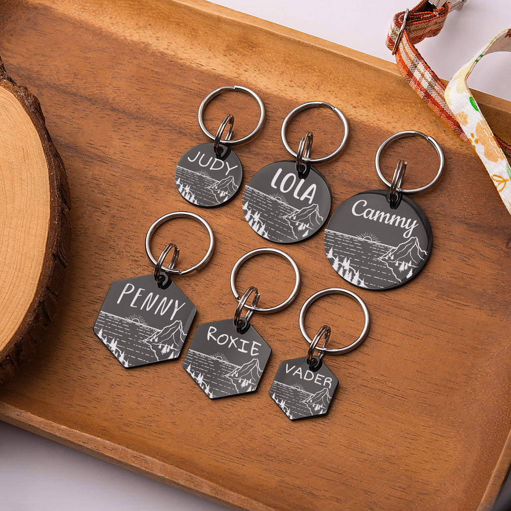 Sunset by the Sea Hexagon Pet ID Dog Tag