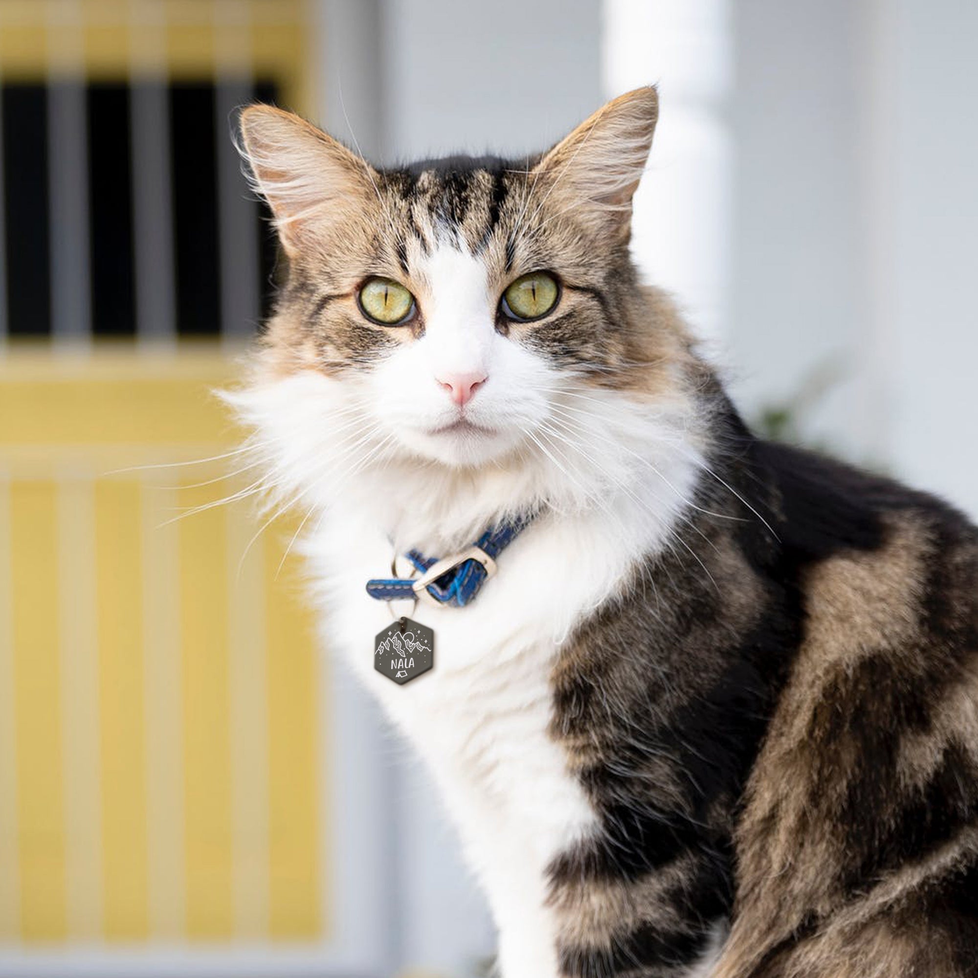 Mountain Tent Hexagon Shaped Pet ID Tag