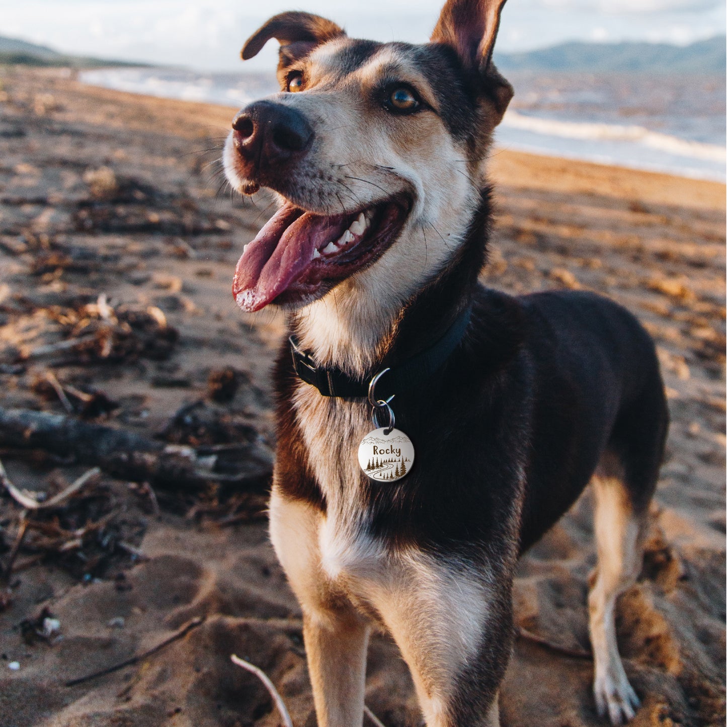 Personalized Mountain Road Round Shaped Pet ID Dog Tag for Cat or Dog