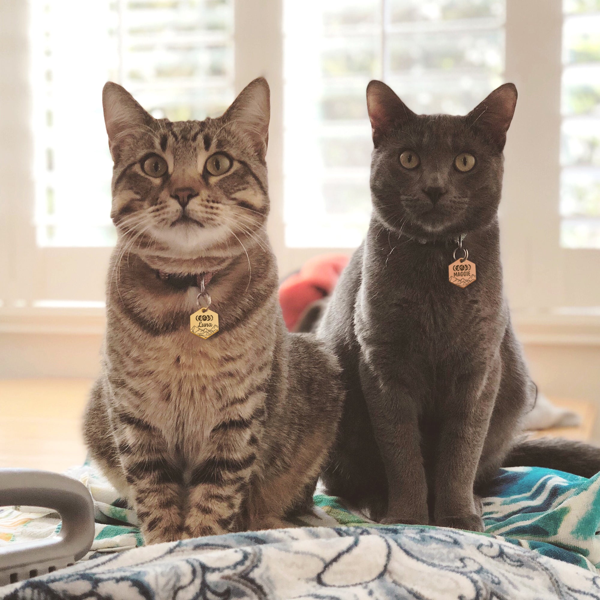 Moon Phases Hexagon Pet Tag