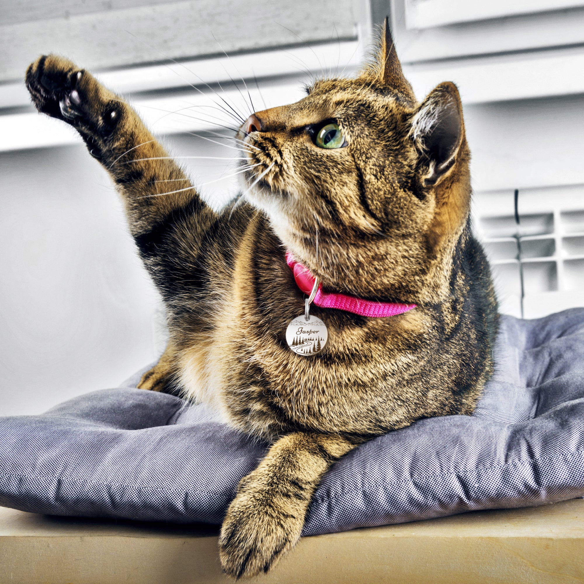 Mountain Road Round Pet ID Dog Tag