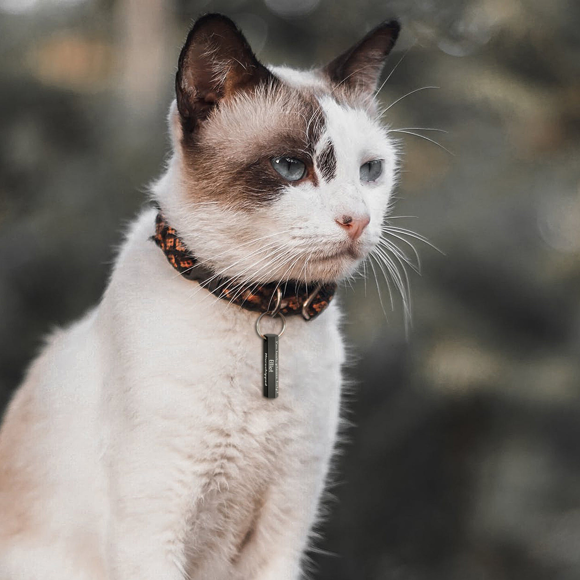 6-Sided Engraving Hexagon Pet Tag