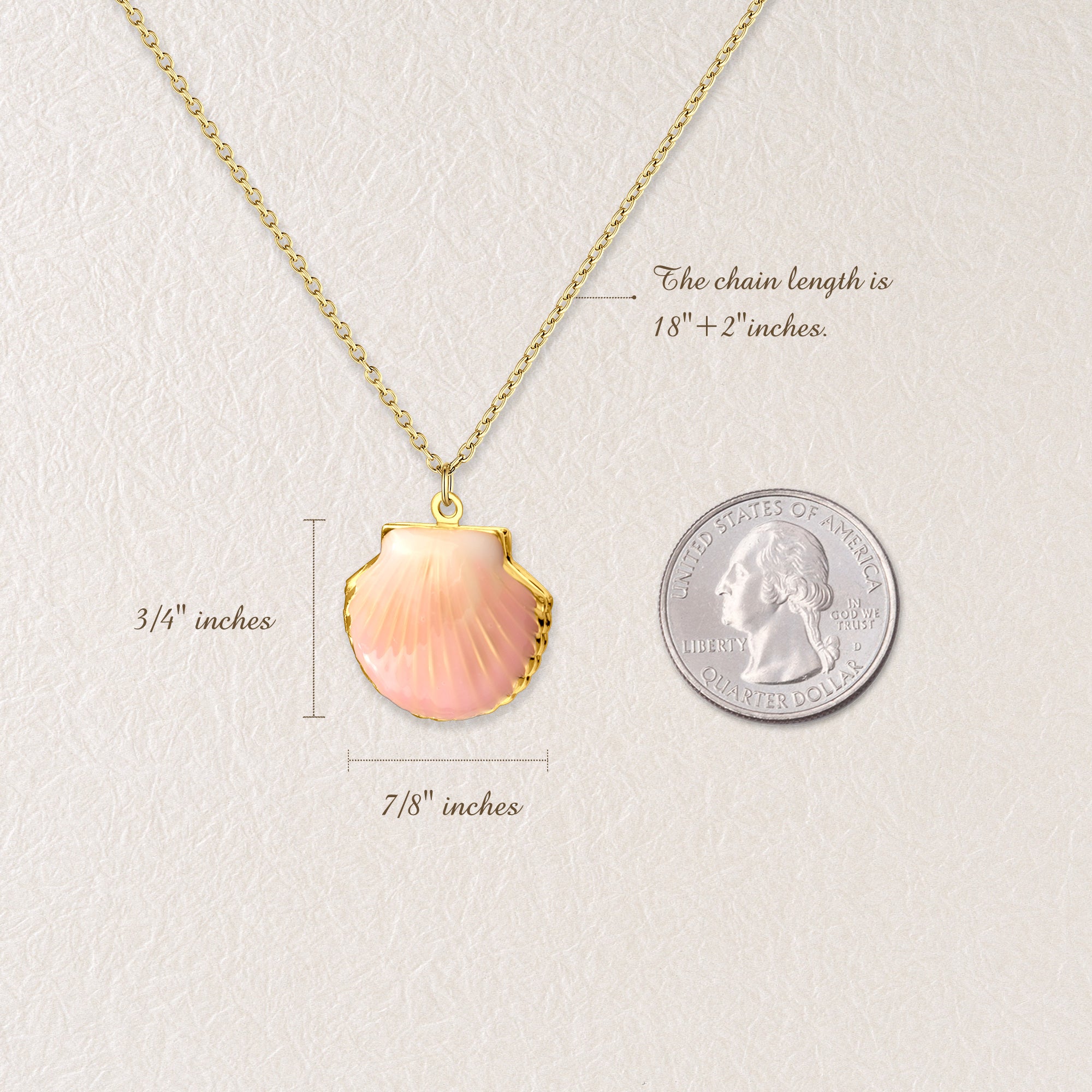 Custom Seashell Photo Locket Necklace