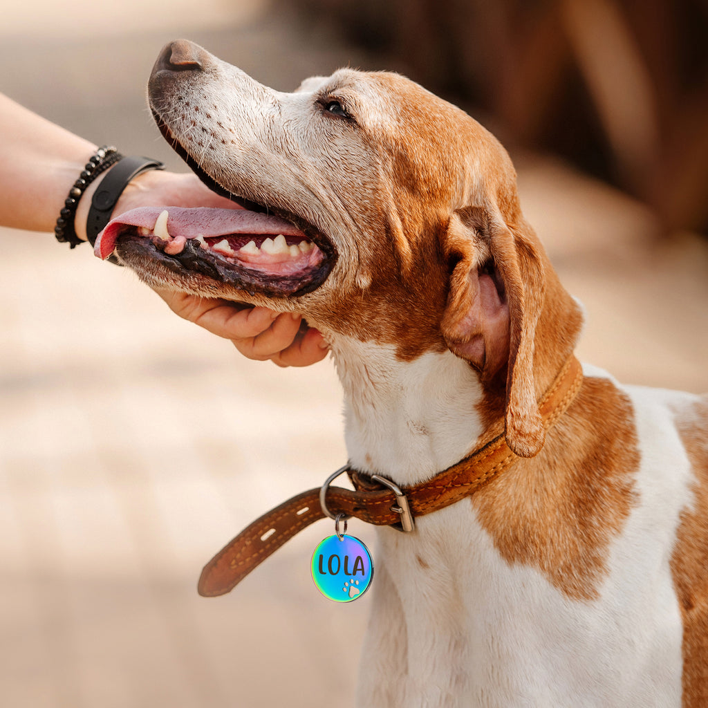 Round Paw Print Cut-Out Pet ID Dog Tag