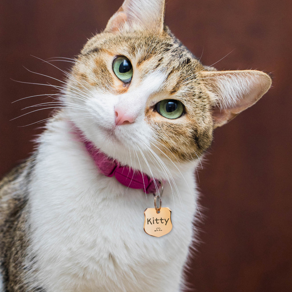 Shield Name and Icon Pet ID Dog Tag