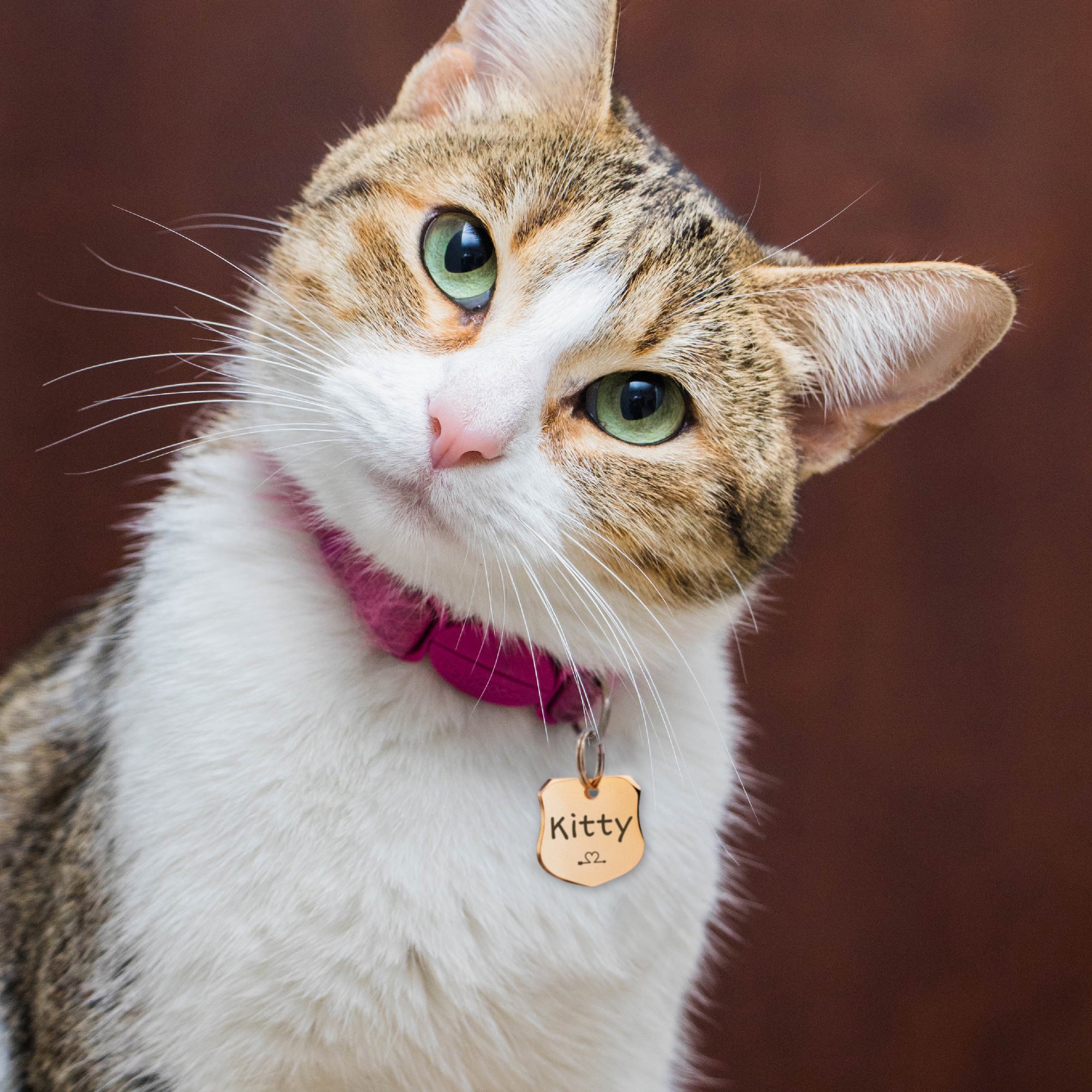 Shield Name and Icon Pet ID Dog Tag