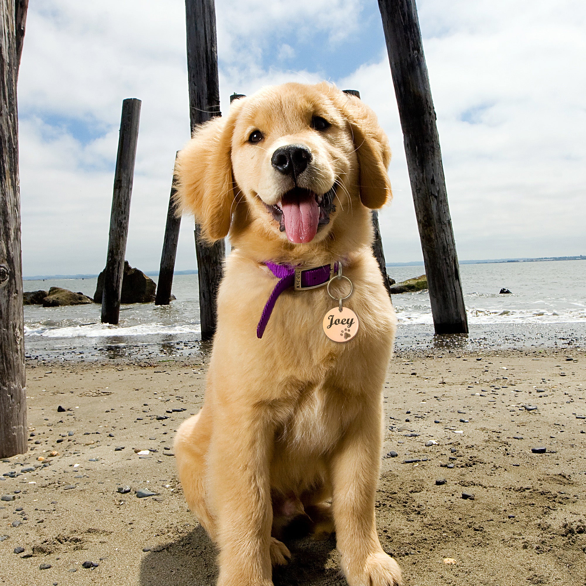Round Paw Print Cut-Out Pet ID Dog Tag