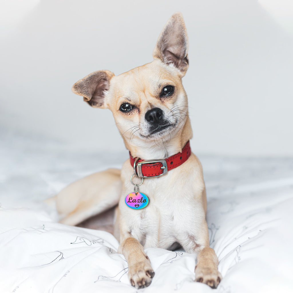 Oval Pet ID Dog Tag