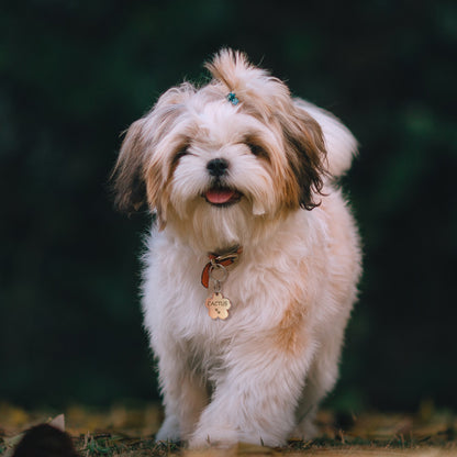 Custom Cherry Blossom Pet ID Dog Tag