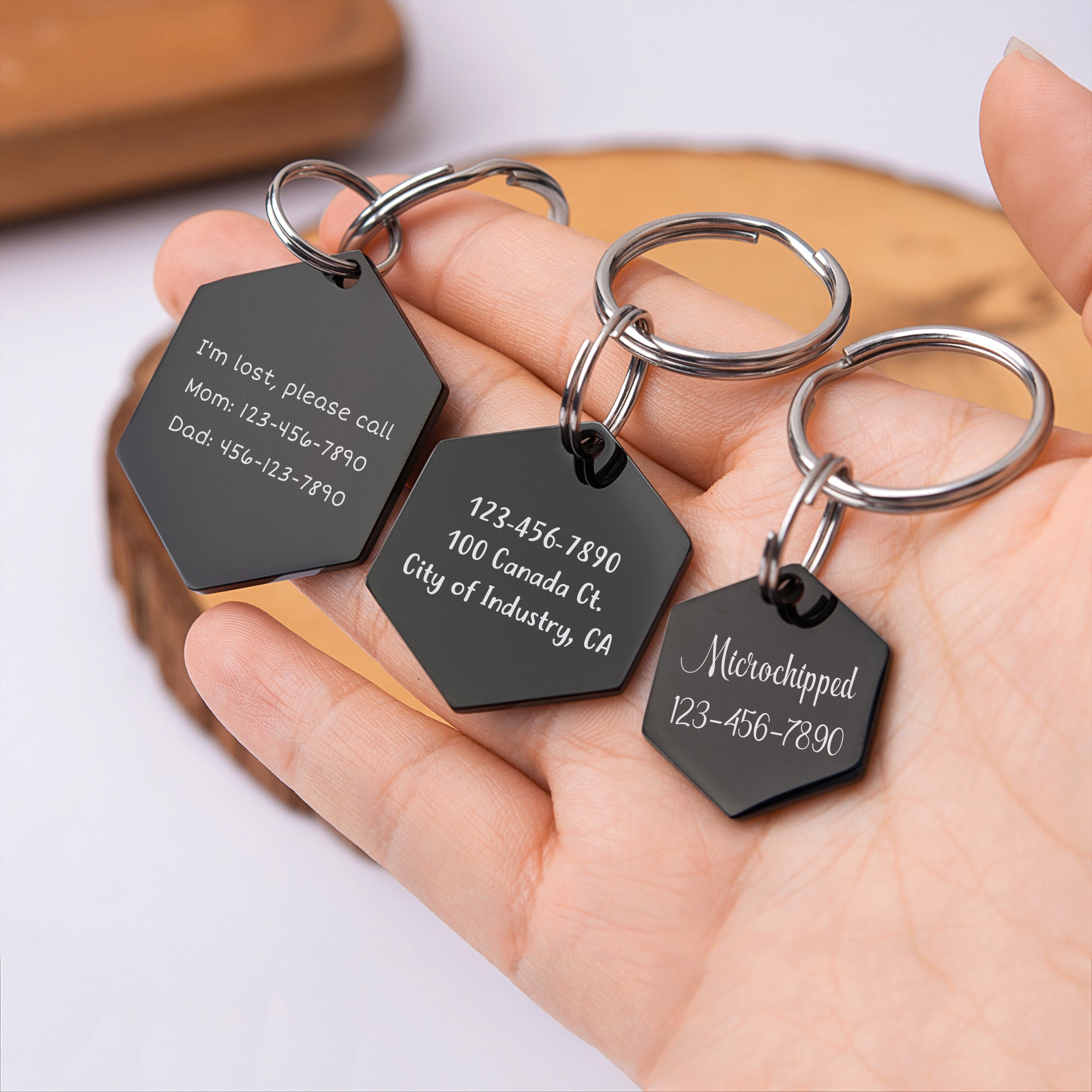 Hiking with Pet Hexagon Pet ID Dog Tag