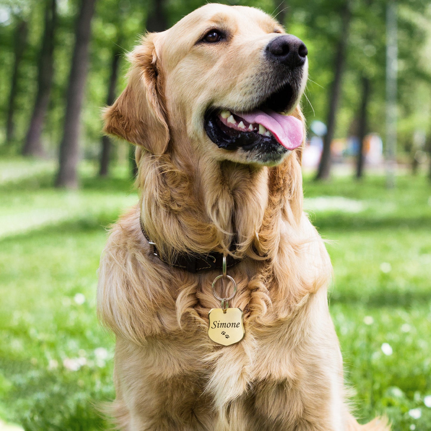 Custom Police Shield Shaped Pet ID Dog Tag