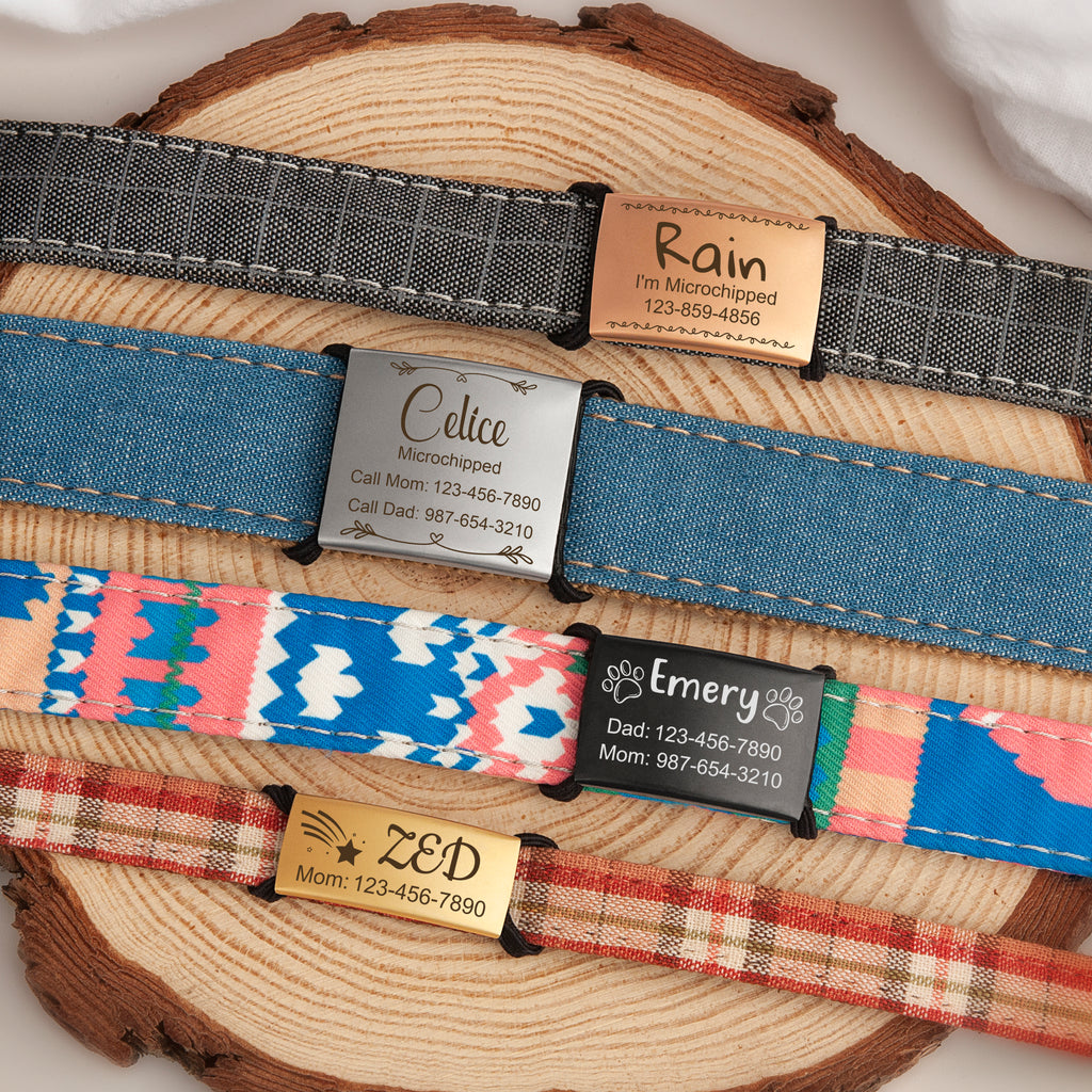 Frame and Pet's Name Fabric Slide On Pet Tag