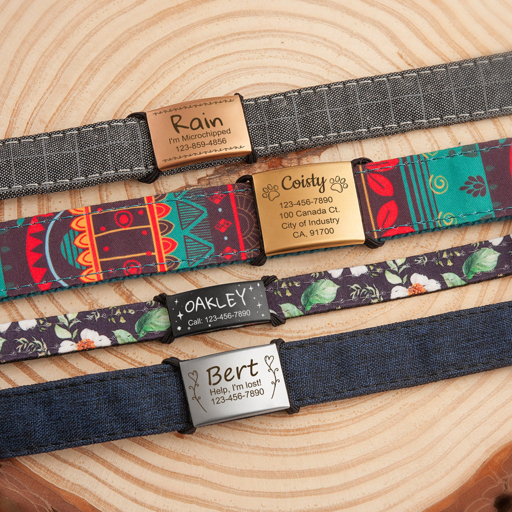 Frame and Pet's Name Fabric Slide On Pet Tag