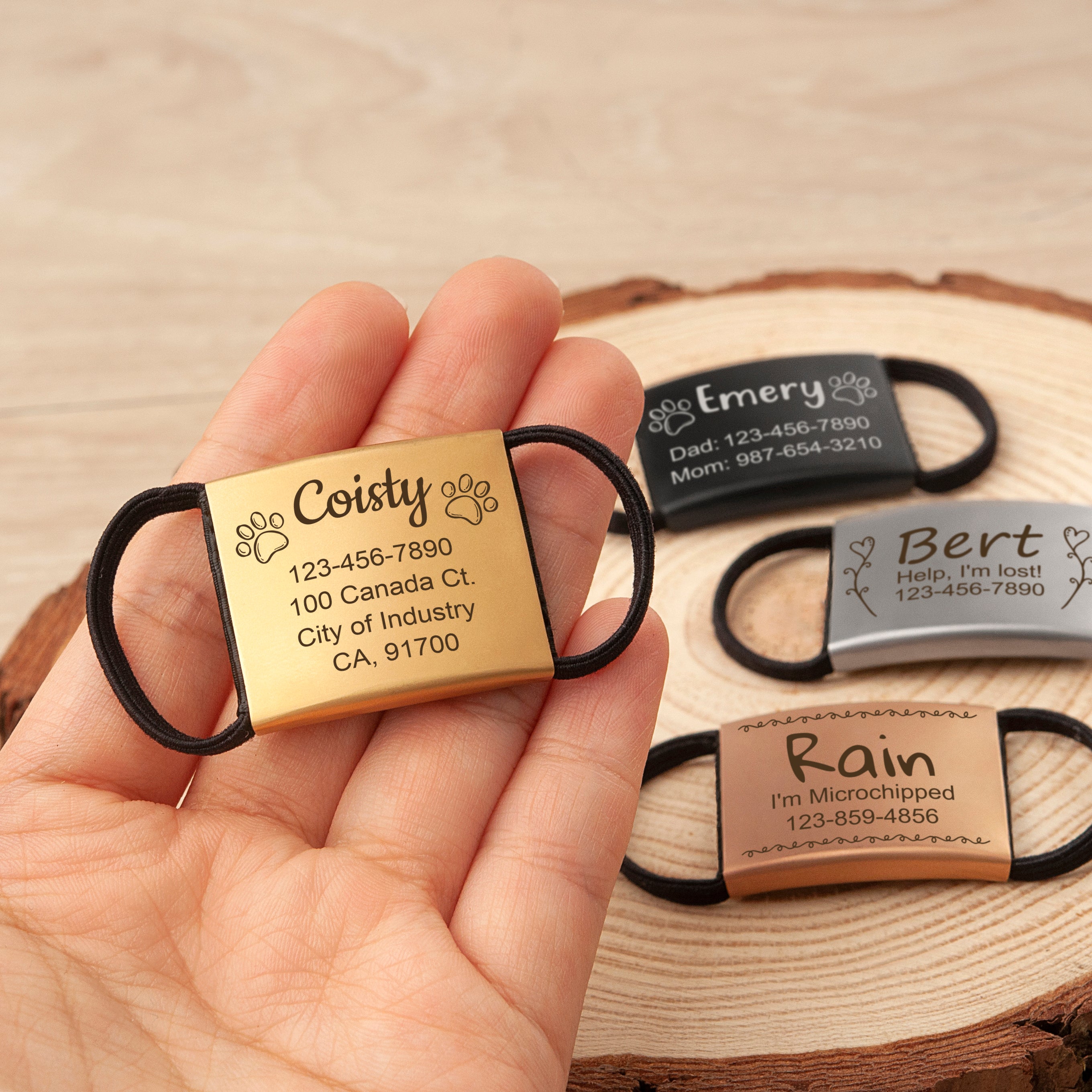 Frame and Pet's Name Fabric Slide On Pet Tag