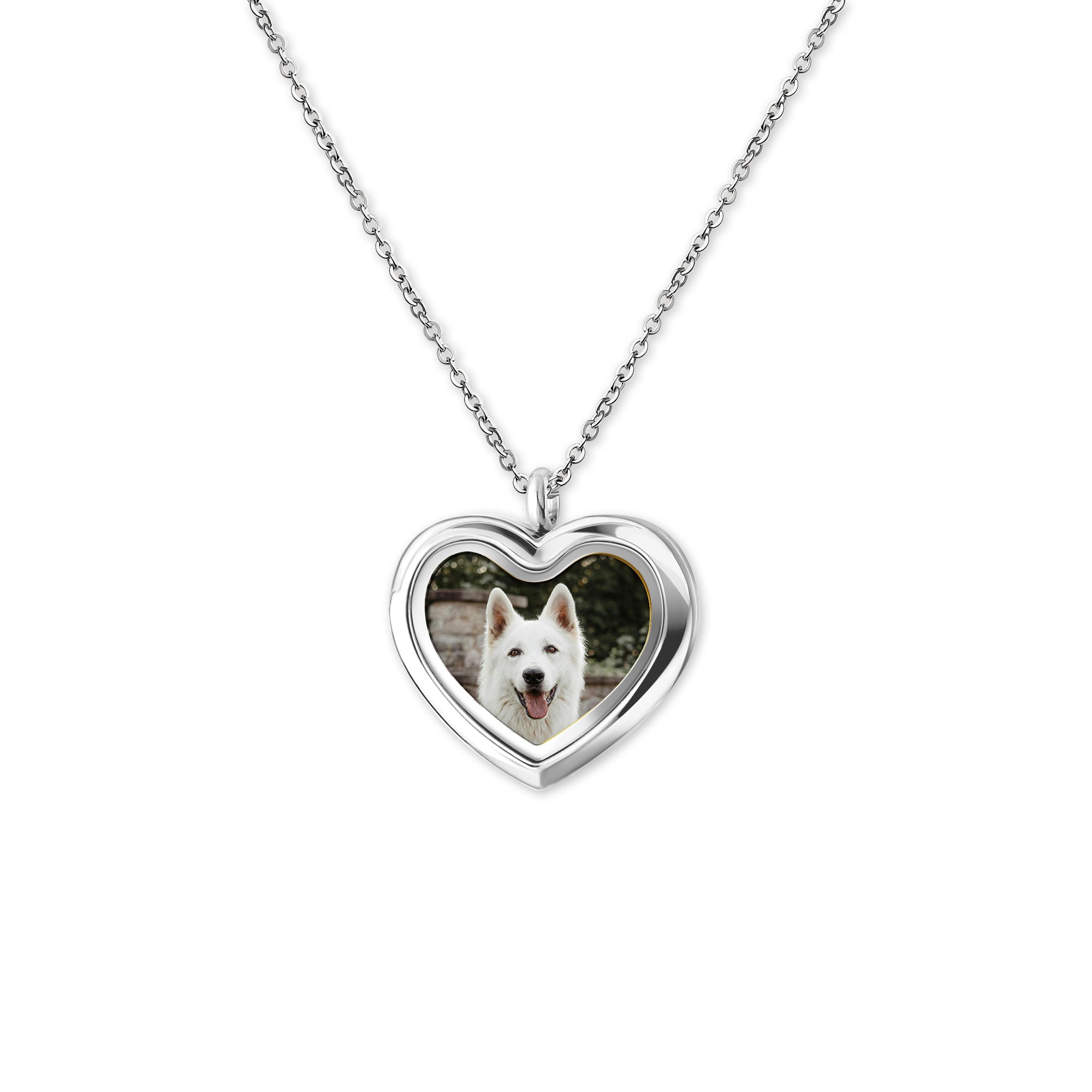 Glass Heart Photo Locket Pet Necklace