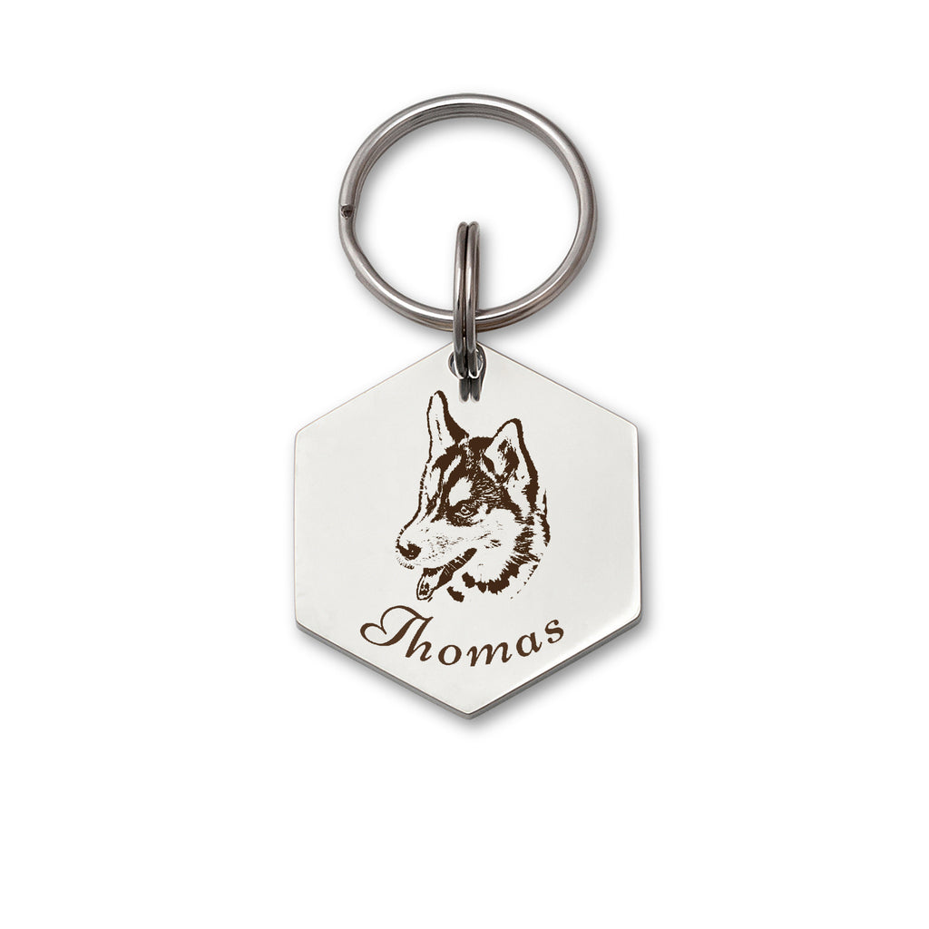 Hexagon Pet Portrait Dog ID Pet Tag