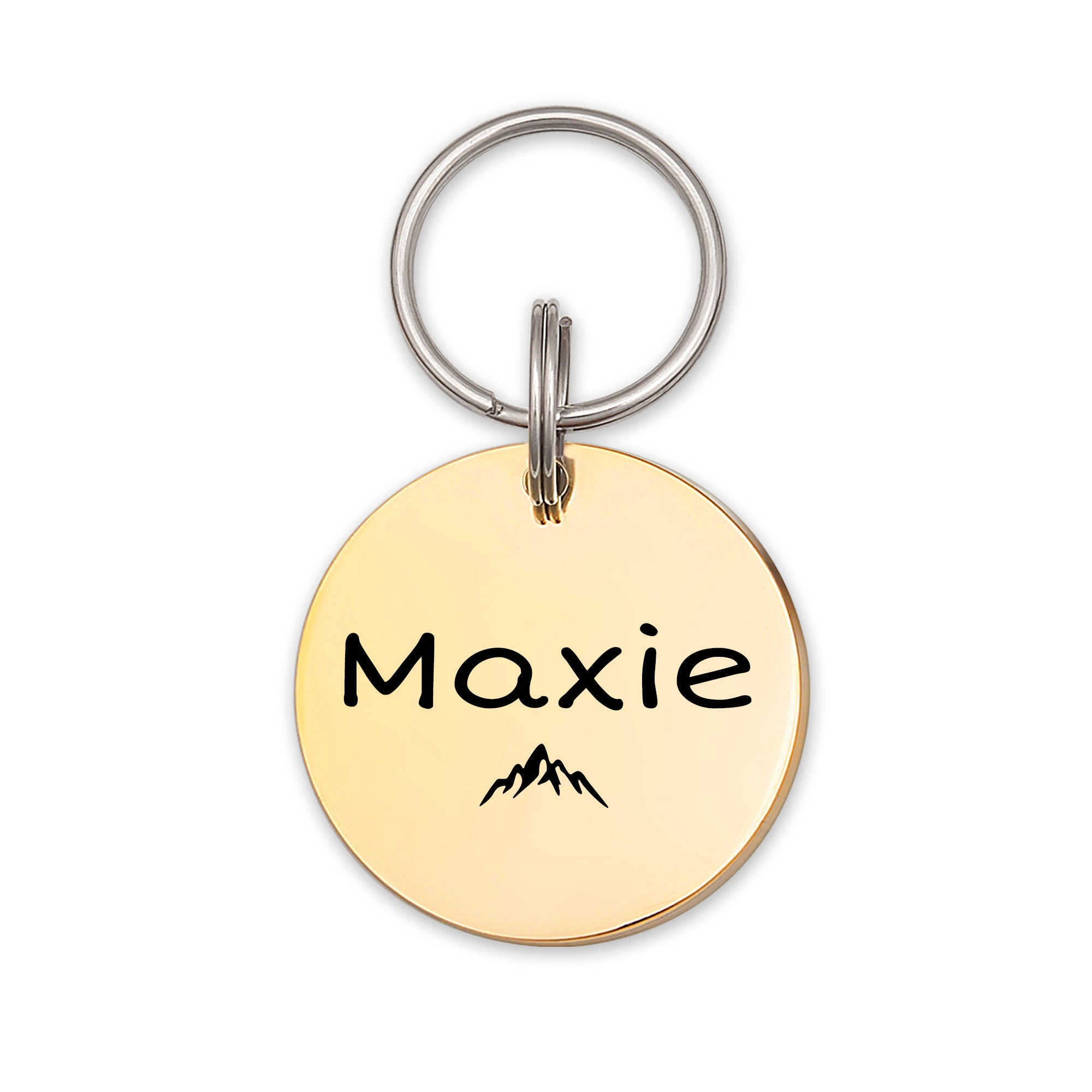 Name and Icon Round Pet ID Dog Tag