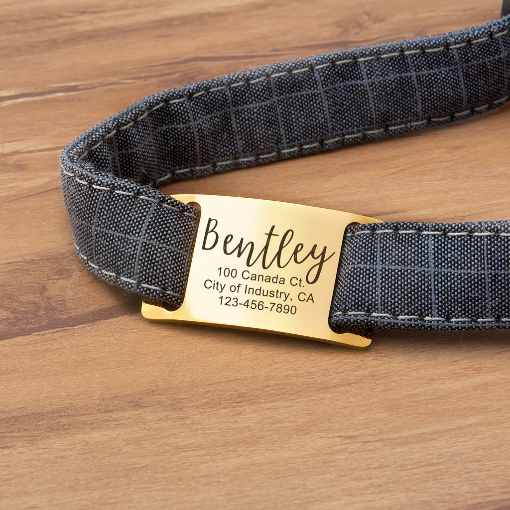 Stainless Steel Silent Slide On Pet Tag