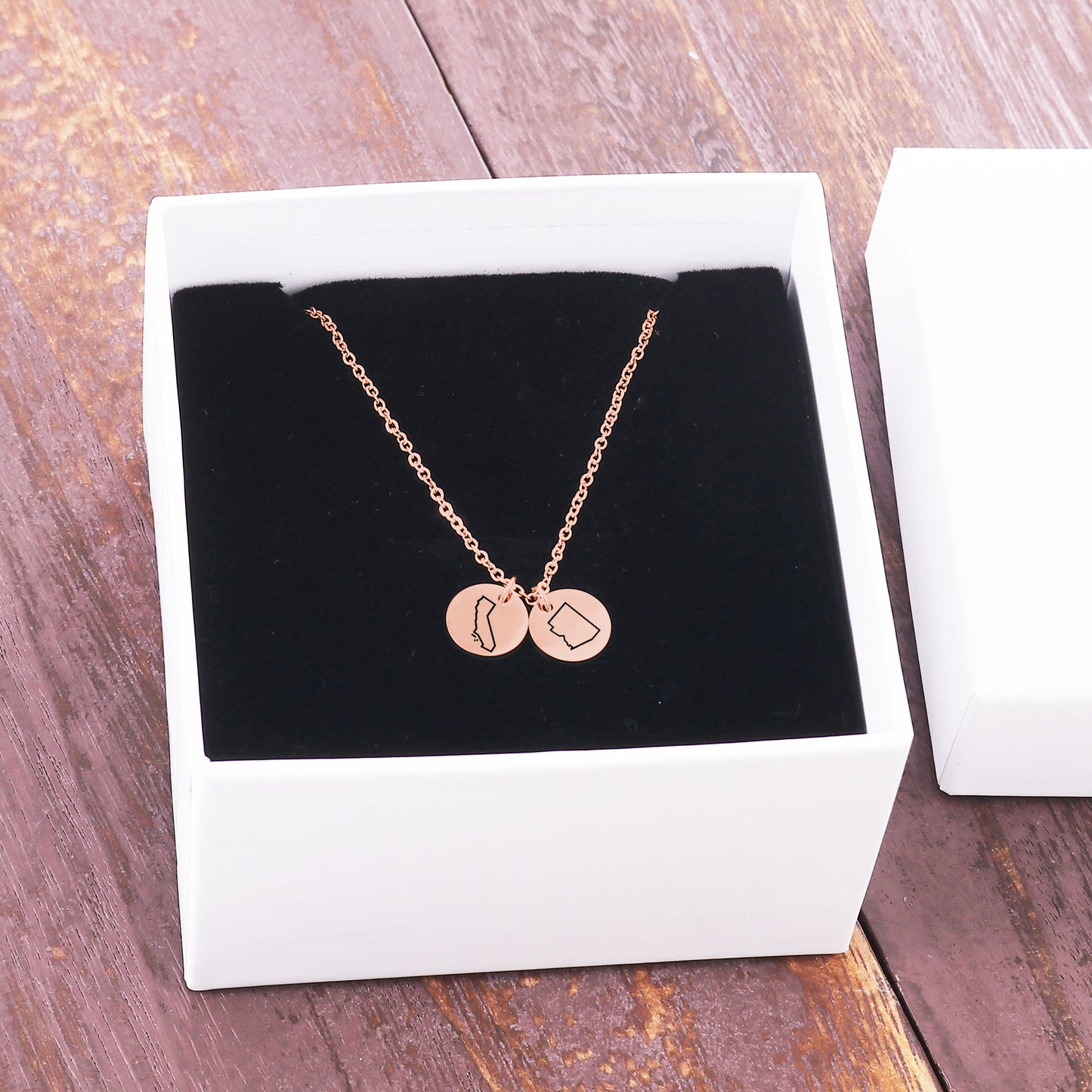 Long Distance Initial State Mini Charm Necklace