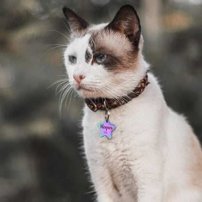 Star Shaped Name and Icon Pet ID Tags