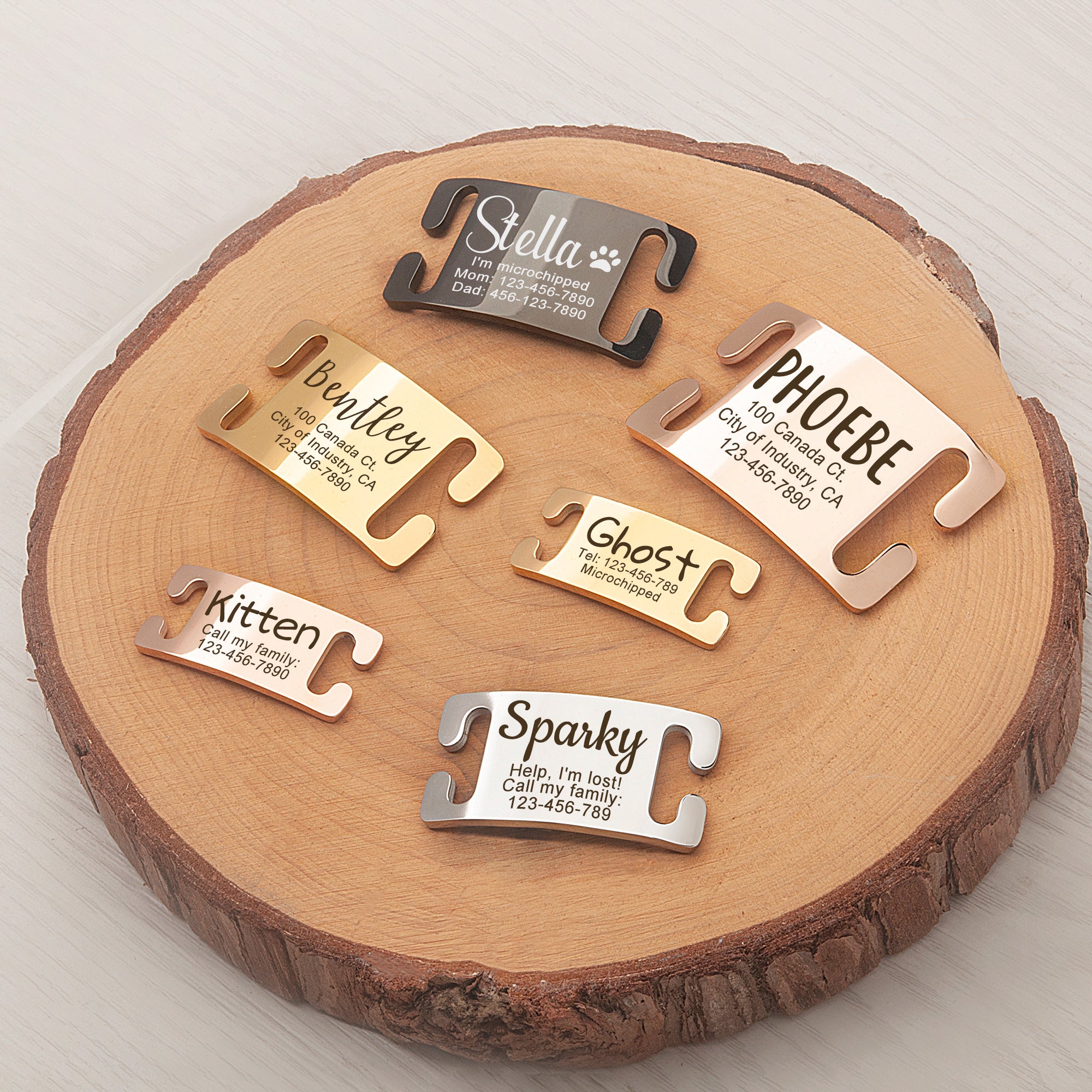 Stainless Steel Silent Slide On Pet Tag