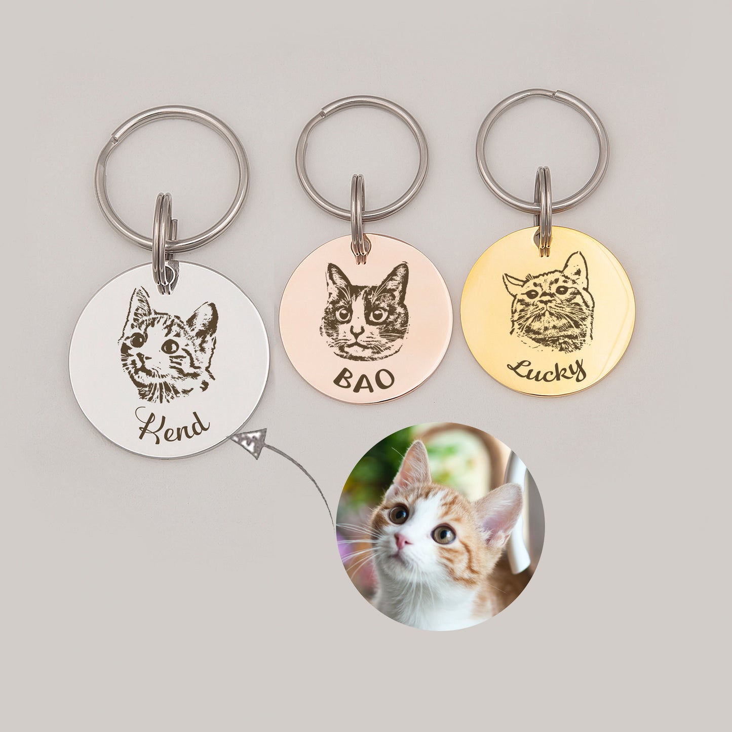 Round Pet Portrait Pet ID Dog Tag